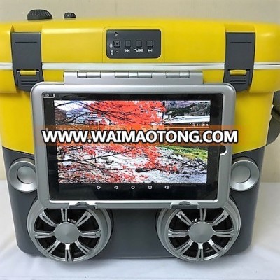 wireless speaker with cooler box